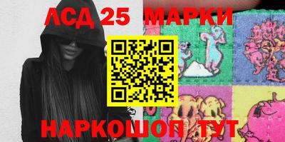 стаф Новодвинск