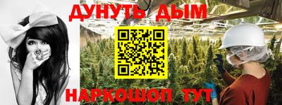 прущие крисы Новозыбков