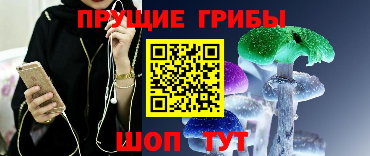 Солнечногорск  Псилоцибиновые грибы Magic Shrooms  Вход с VPN 