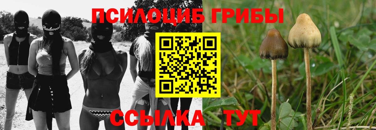 Галлюциногенные грибы Magic Shrooms Солнечногорск